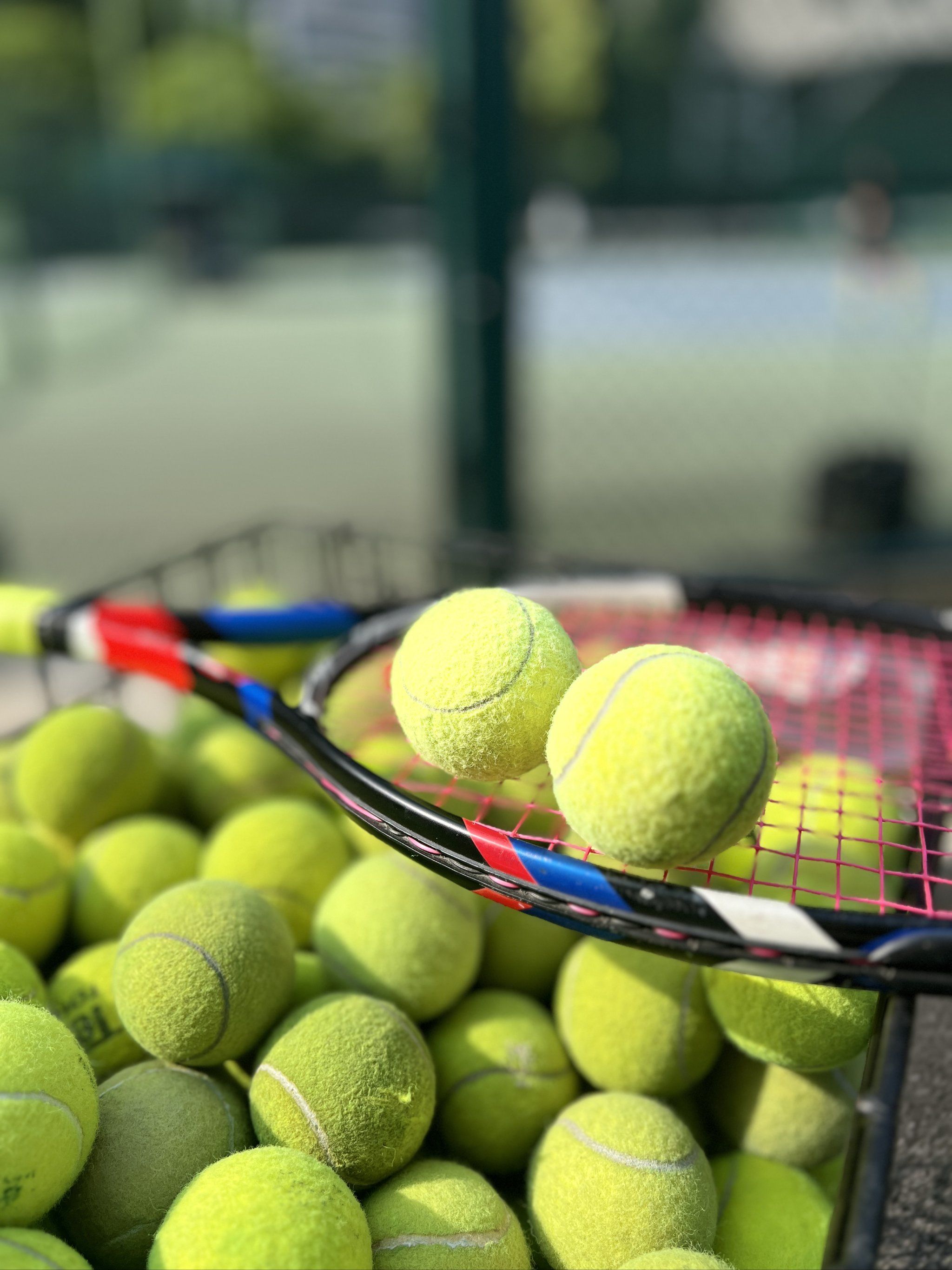 一些专家认 一些专家认