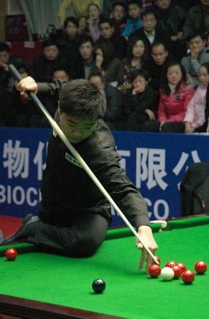 球队还是粉 球队还是粉