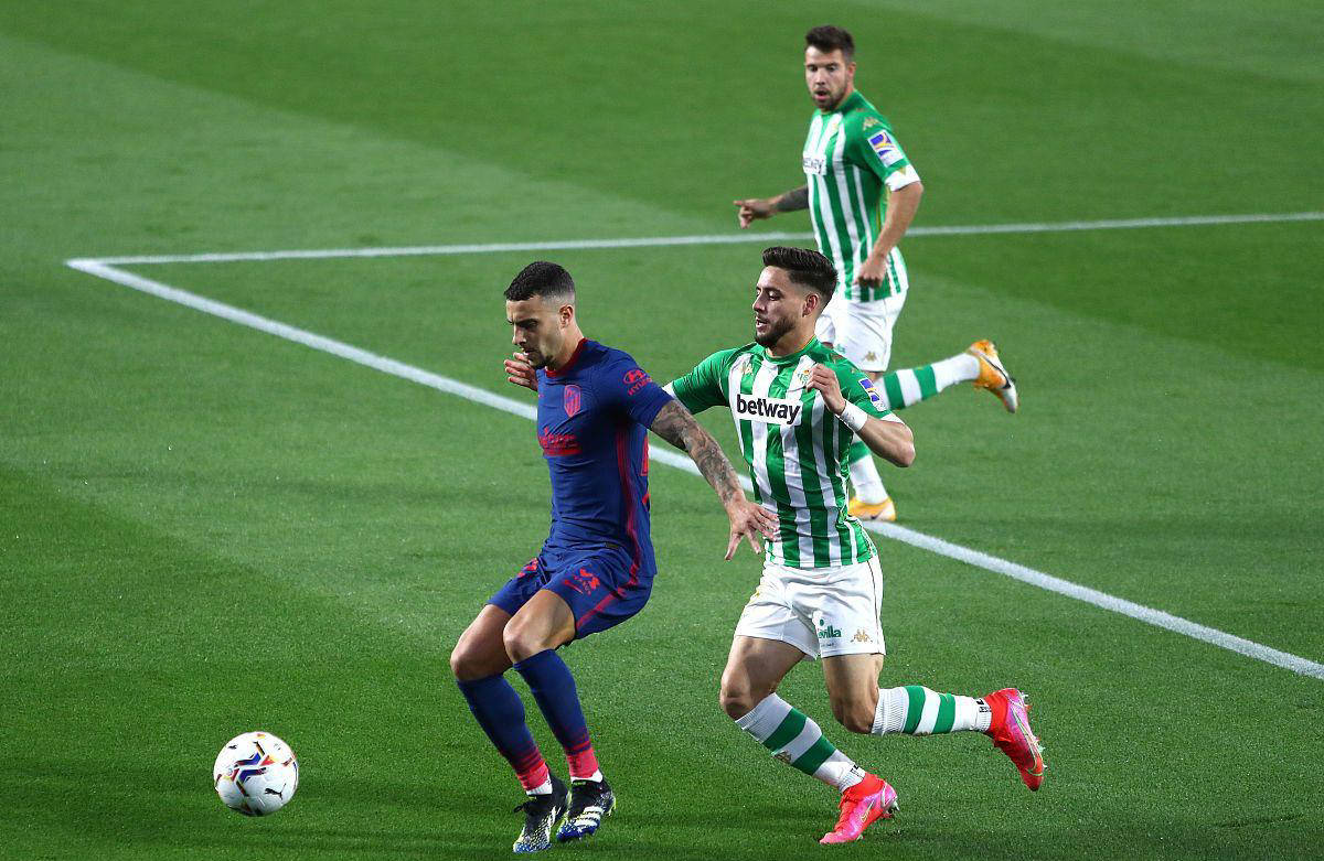 轰已属稀有 轰已属稀有